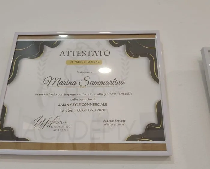 Attestato: Asian Style Commerciale (2026)
