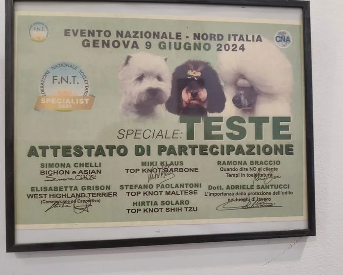 Attestato: Speciale Teste, prima giornata (2024)