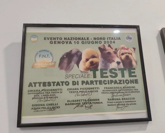 Attestato: Speciale Teste, seconda giornata (2024)
