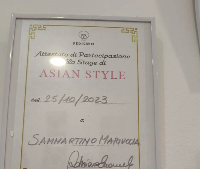 Attestato: Stage di Asian Style (2023)