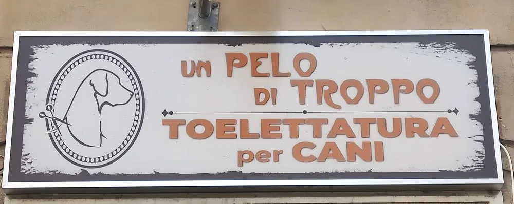 Insegna Un pelo di troppo, toelettatura per cani, in via Carlo Rolando